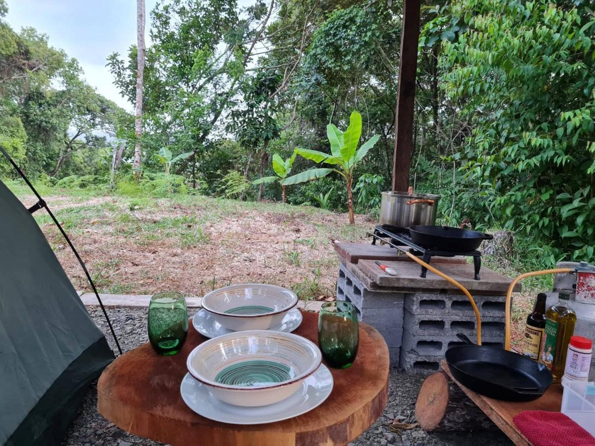 Jungle Eco Reserve Hotel Colon Ngoại thất bức ảnh