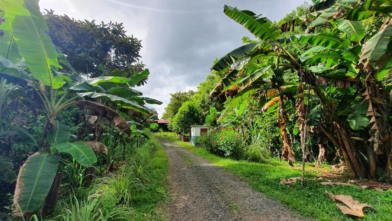 Jungle Eco Reserve Hotel Colon Ngoại thất bức ảnh