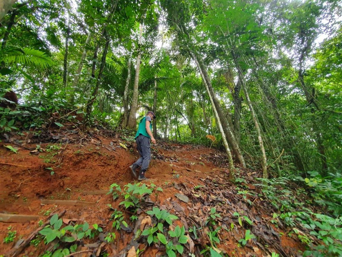 Jungle Eco Reserve Hotel Colon Ngoại thất bức ảnh