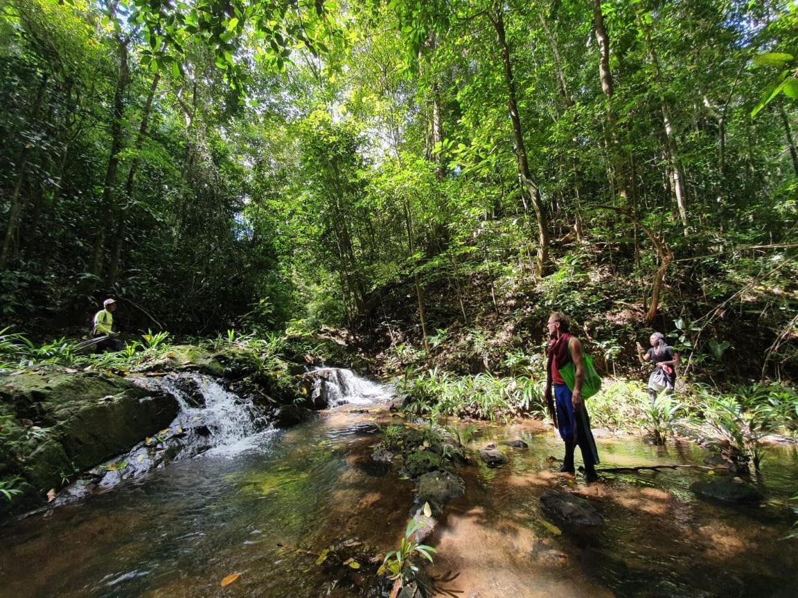 Jungle Eco Reserve Hotel Colon Ngoại thất bức ảnh